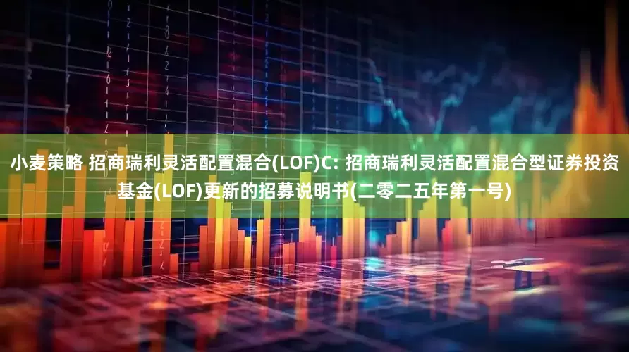 小麦策略 招商瑞利灵活配置混合(LOF)C: 招商瑞利灵活配置混合型证券投资基金(LOF)更新的招募说明书(二零二五年第一号)