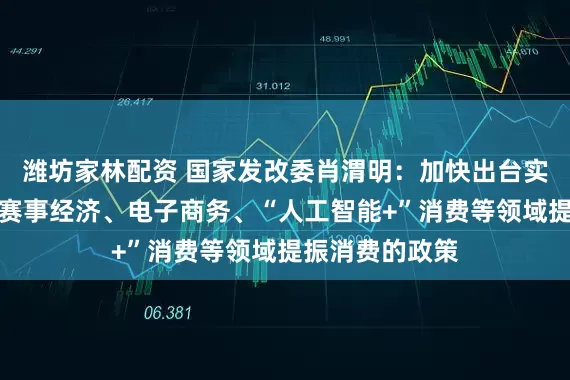 潍坊家林配资 国家发改委肖渭明：加快出台实施首发经济、赛事经济、电子商务、“人工智能+”消费等领域提振消费的政策